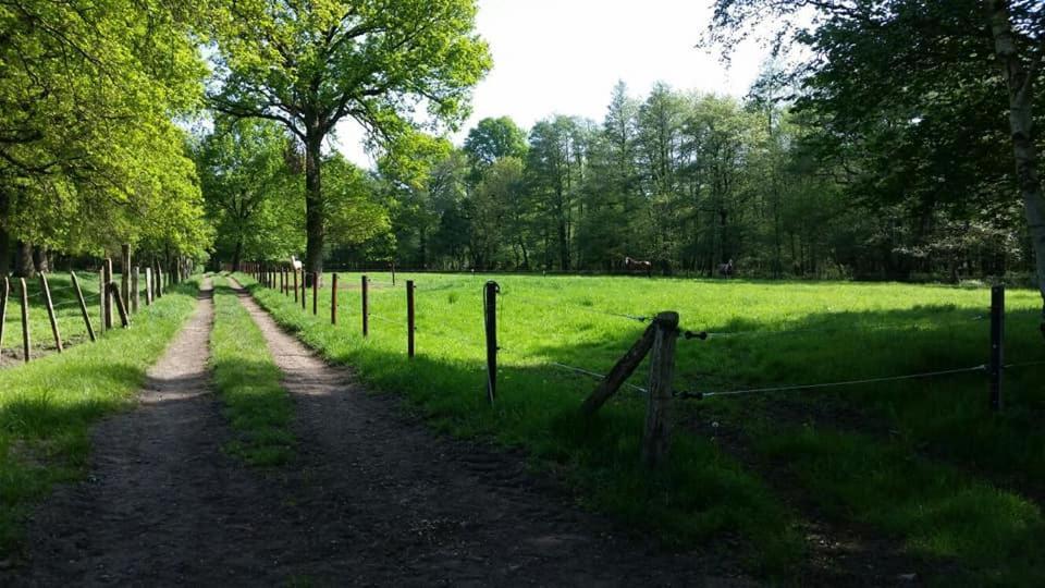 Het Innerhof Opglabbeek Eksteriør bilde